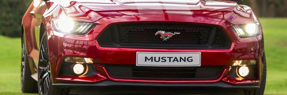 Senor Fredricks banner