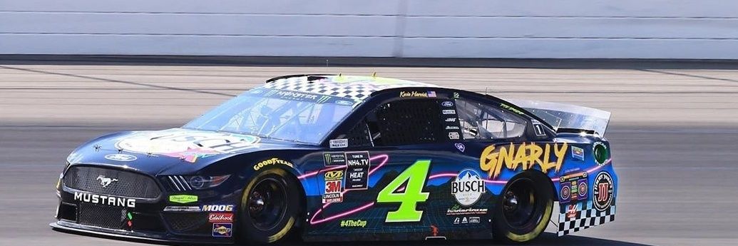 lsteeman's profile banner image