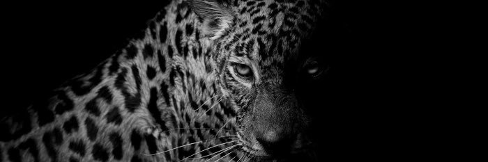AljabrtiSamia's profile banner image