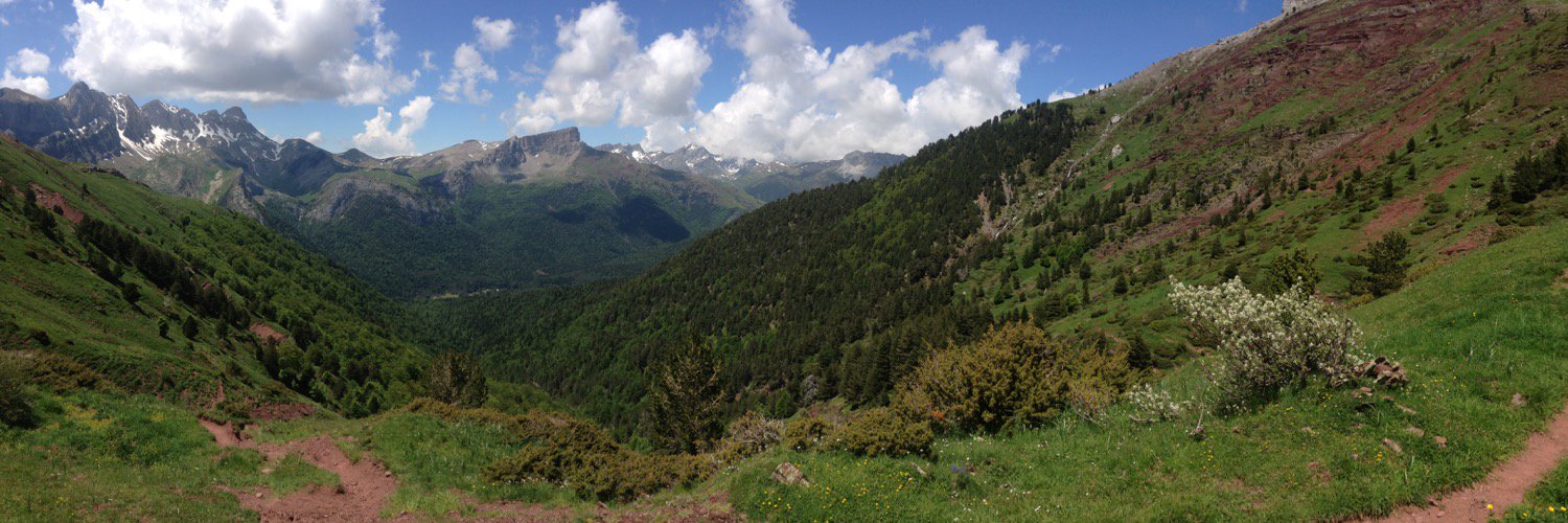 cristina monge 🇪🇺 banner