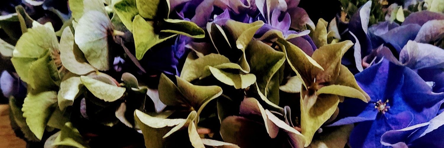 ANGELESMESA's profile banner image