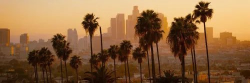 Brandon_Riojas's profile banner image