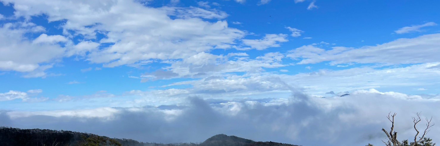 翔。 banner