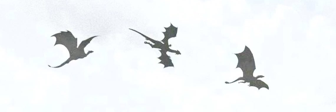 lailagermanotta's profile banner image