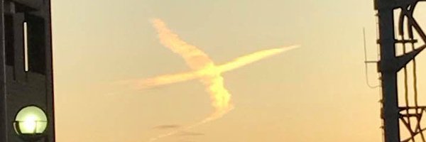 lotusorg Profile Banner