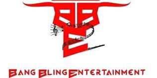 SgarBlingSA's profile banner image