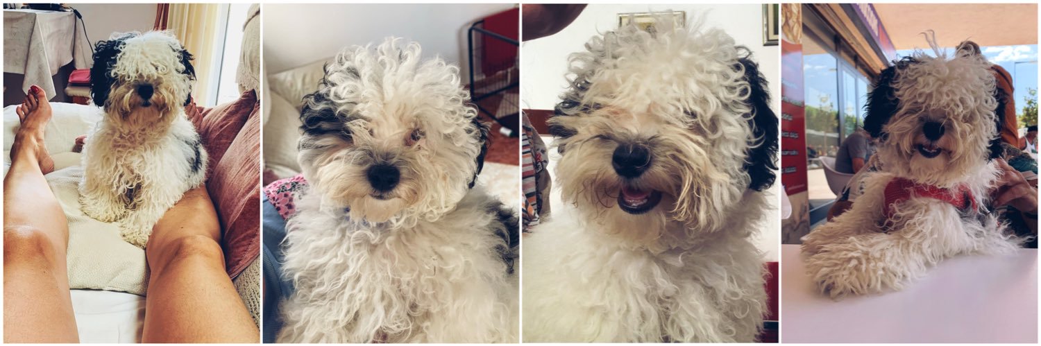 Circill ||*|| MÒ banner