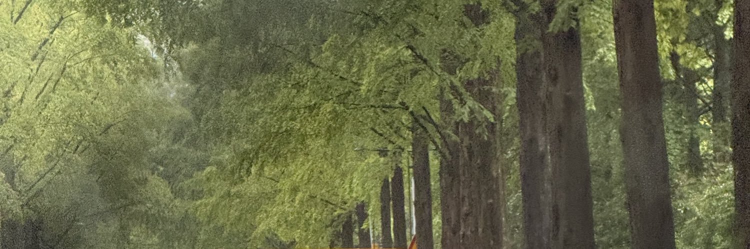 toponcherry's profile banner image