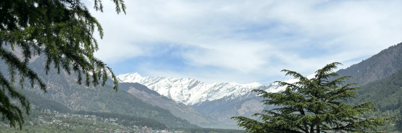 Avni🦋 banner