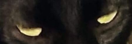 ALMAJAMA's profile banner image