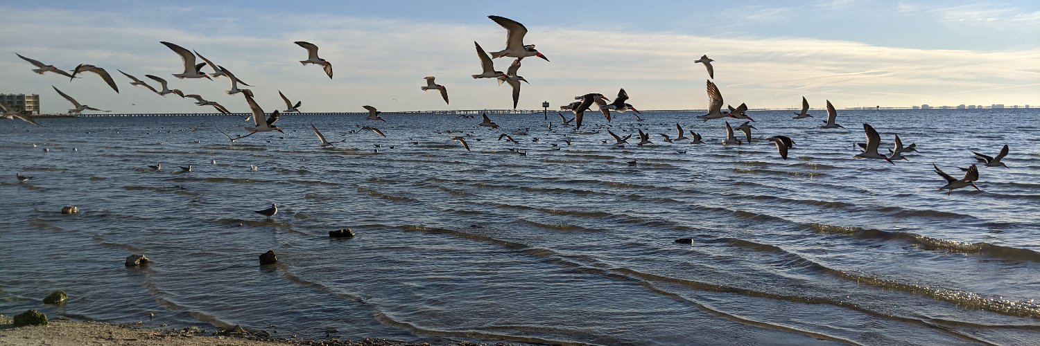 Louisa Thompson banner