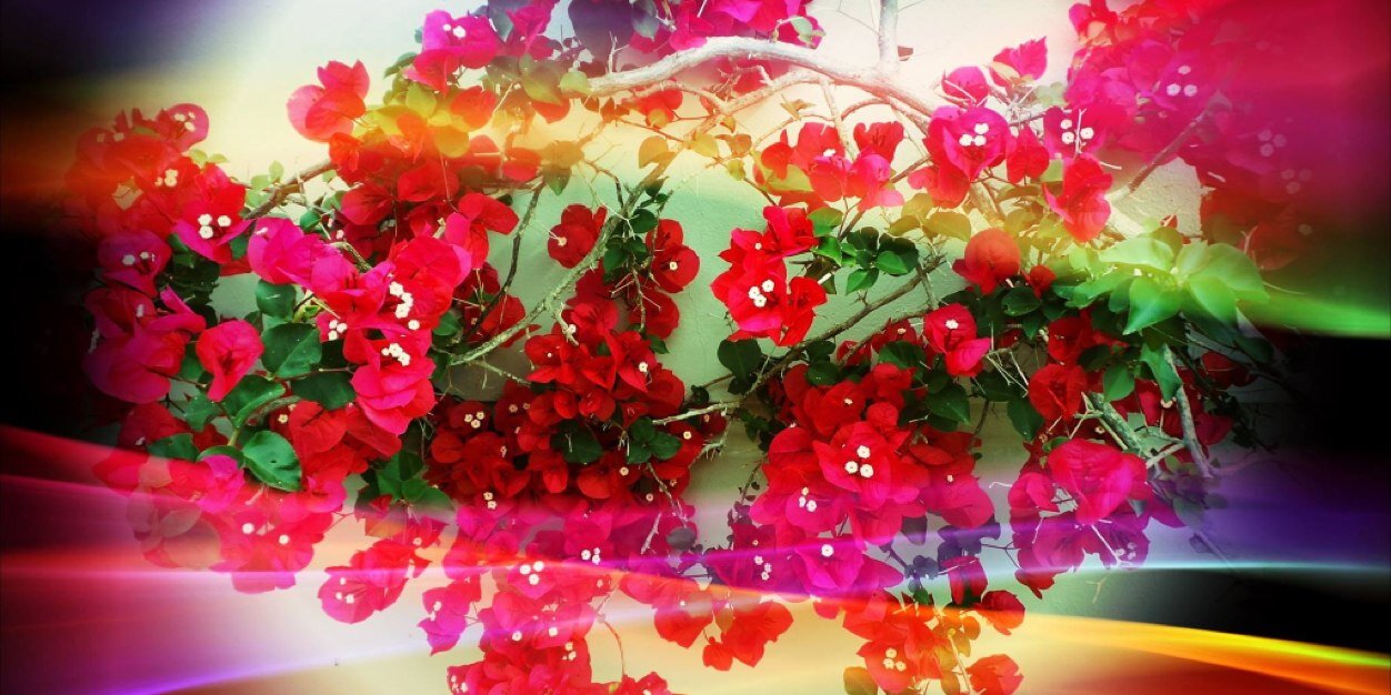 spitzijo's profile banner image