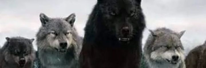 Matheuseterno1's profile banner image
