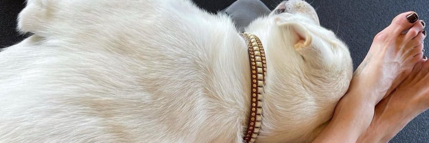 TheRocket738's profile banner image