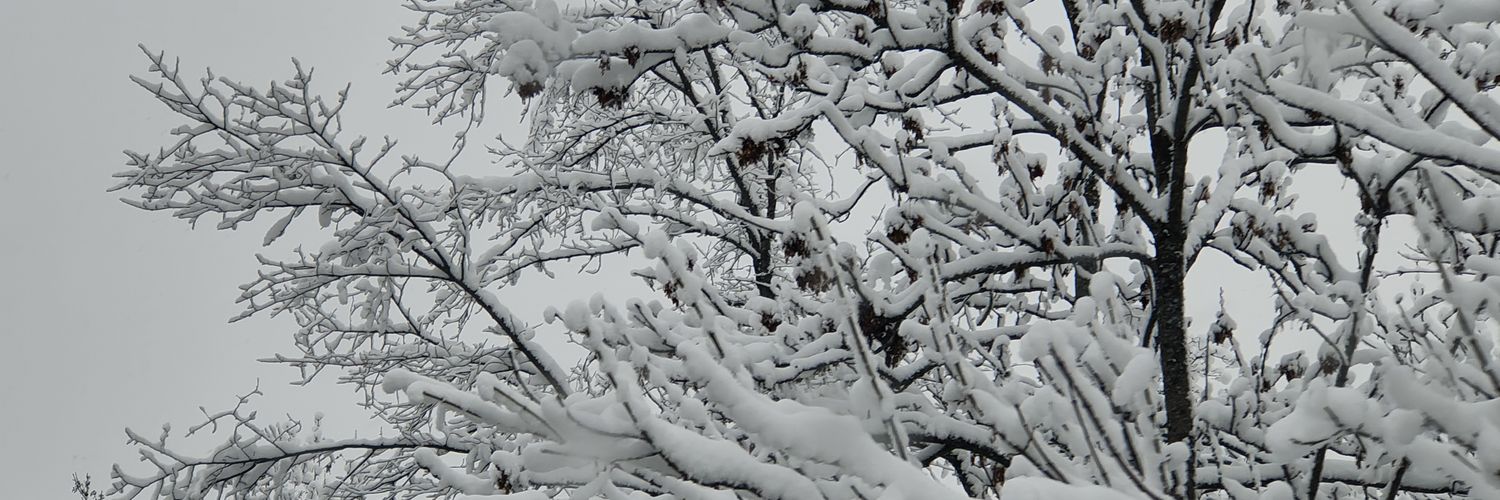 Devi Mey 🇨🇭🇮🇹🇰🇭 banner