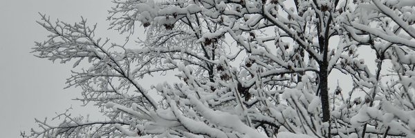 devisomey Profile Banner