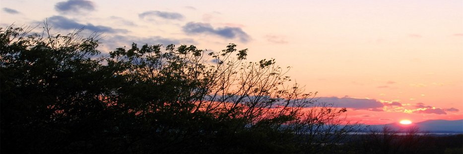 lovelee530's profile banner image