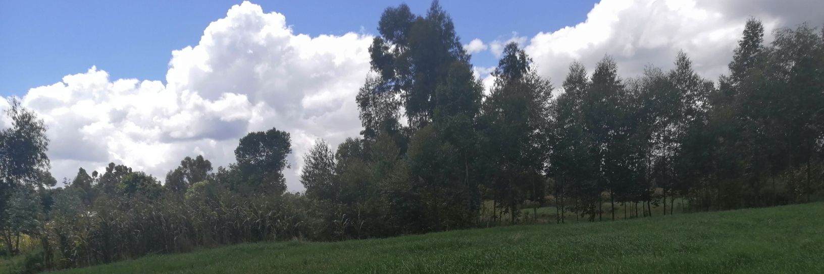 kamaujms's profile banner image