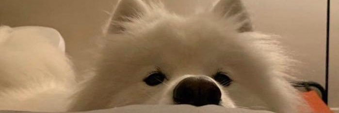 จม. banner