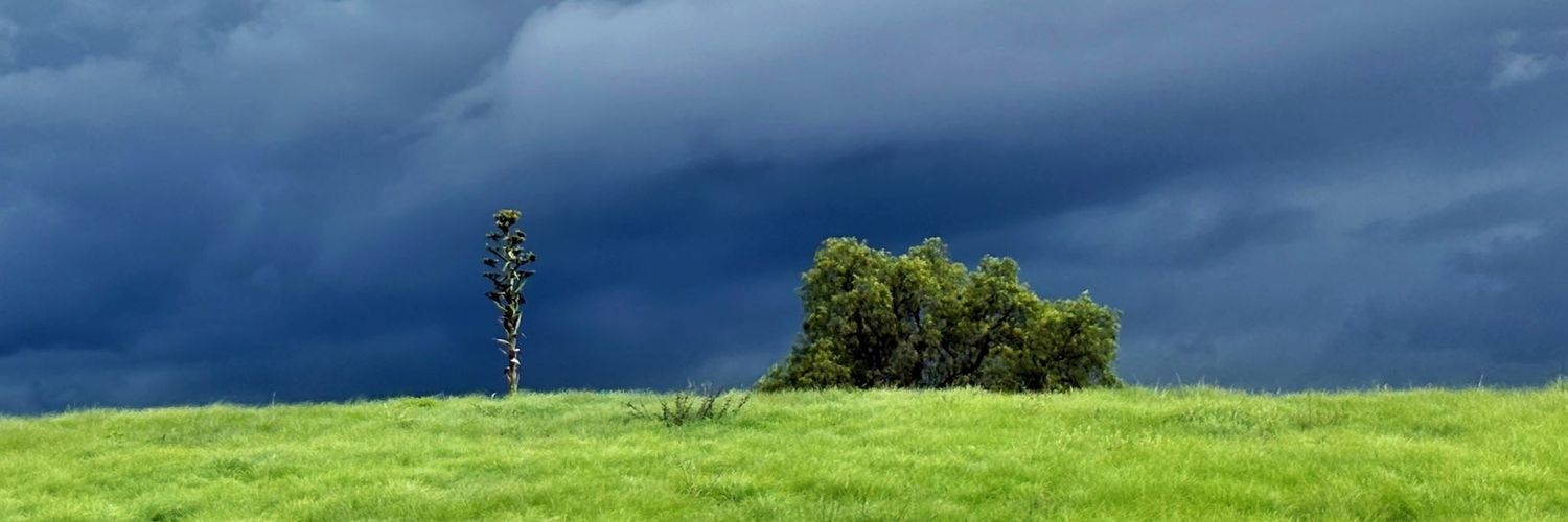 Sauuulin's profile banner image