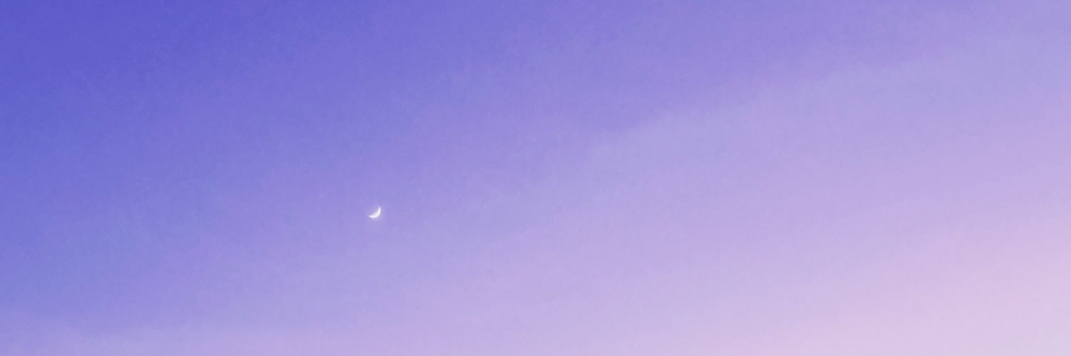 stephyrauhl's profile banner image