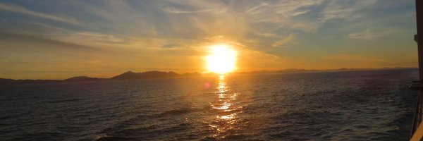 Kellyhatestrump Profile Banner