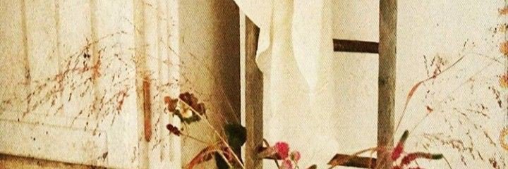 🐓 banner