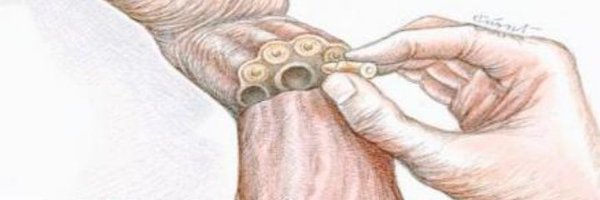 kp_vishvkarma Profile Banner