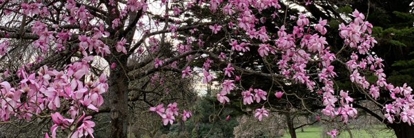 Ashly_ag99 Profile Banner