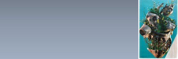 AnneNeubert1 Profile Banner