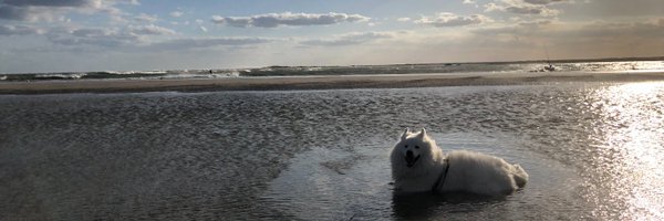 RachelSHelms1 Profile Banner