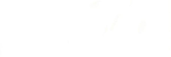 ❀ banner