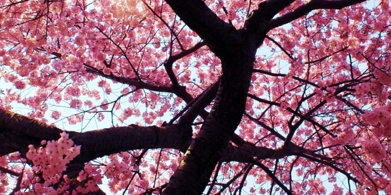 TaliaColuccio's profile banner image