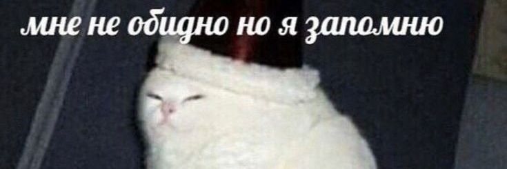 Радужный саван banner
