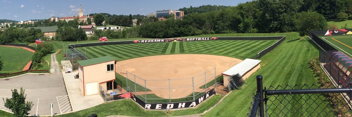 La Roche Softball banner