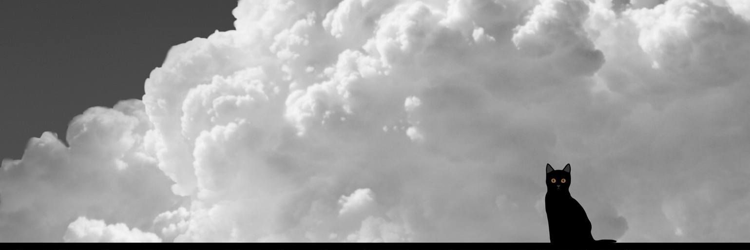 Francesco✍️ Un Poetico Sentire©️'s banner