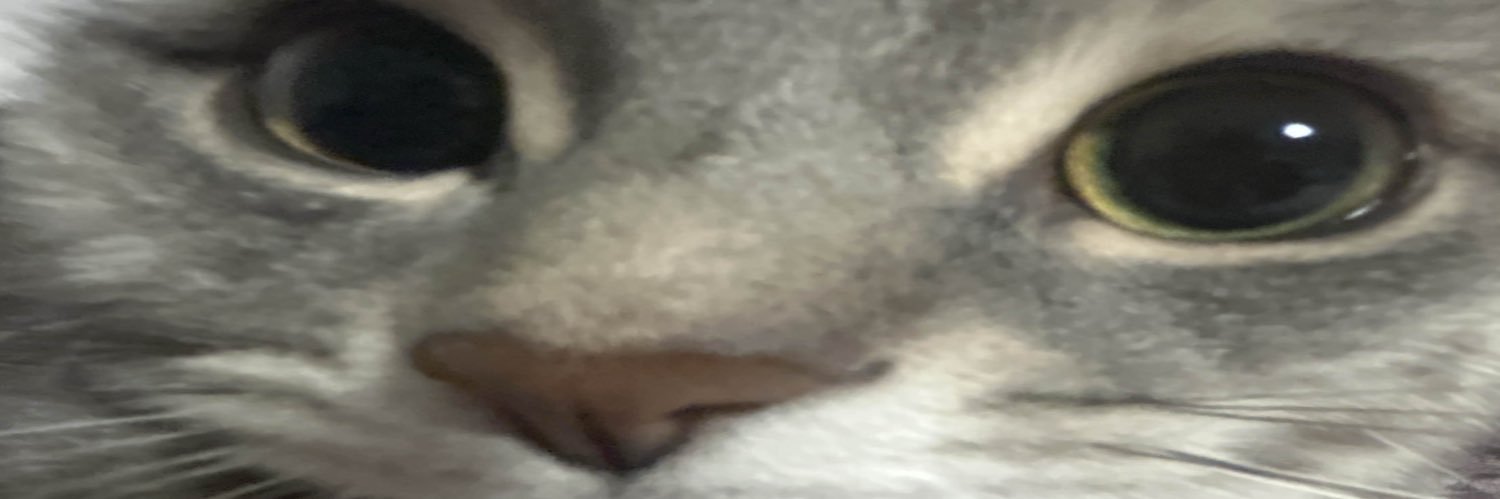 eddiedoodles's profile banner image