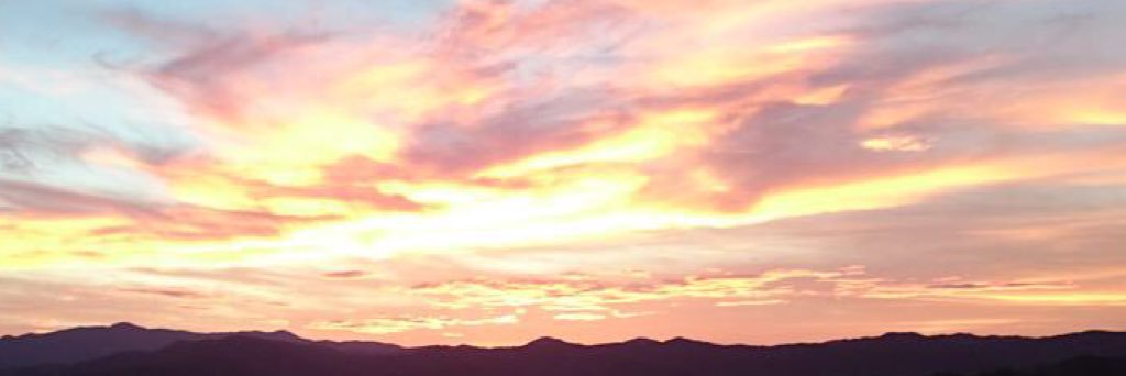 tukinooka's profile banner image