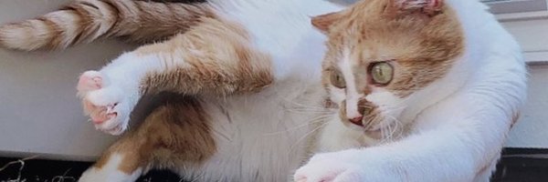 Ultimate077 Profile Banner