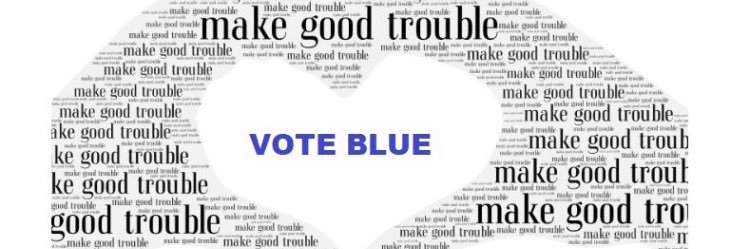 Chelle in StL 🇺🇦 banner