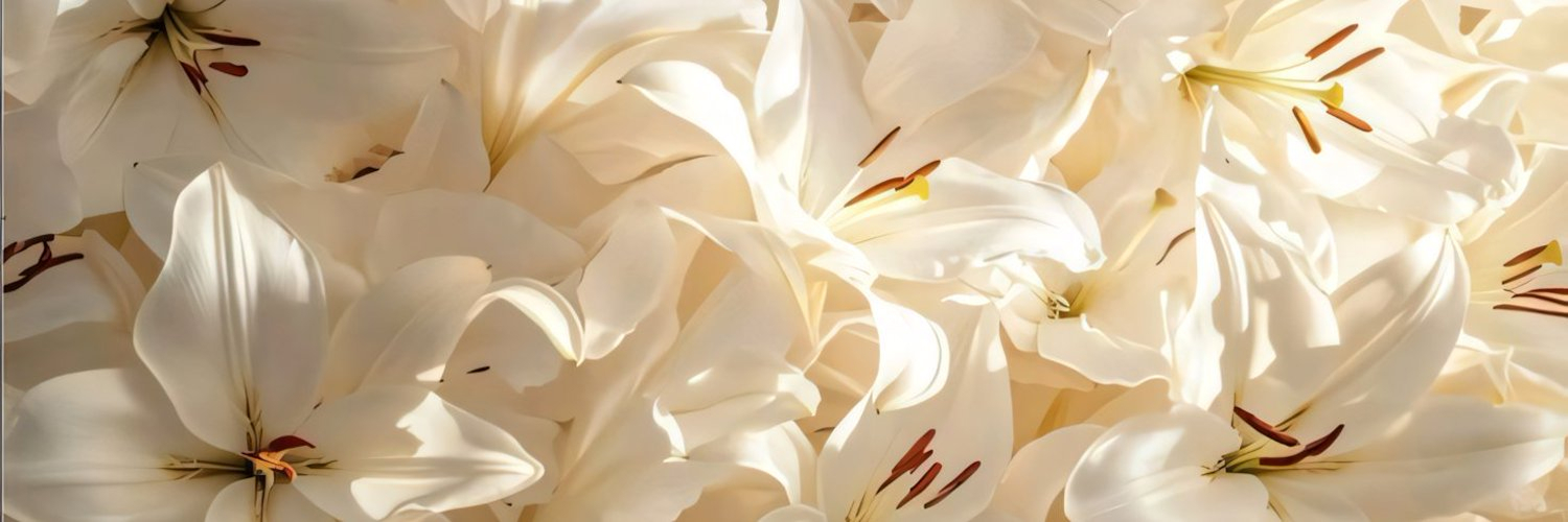 samluvsJB's profile banner image