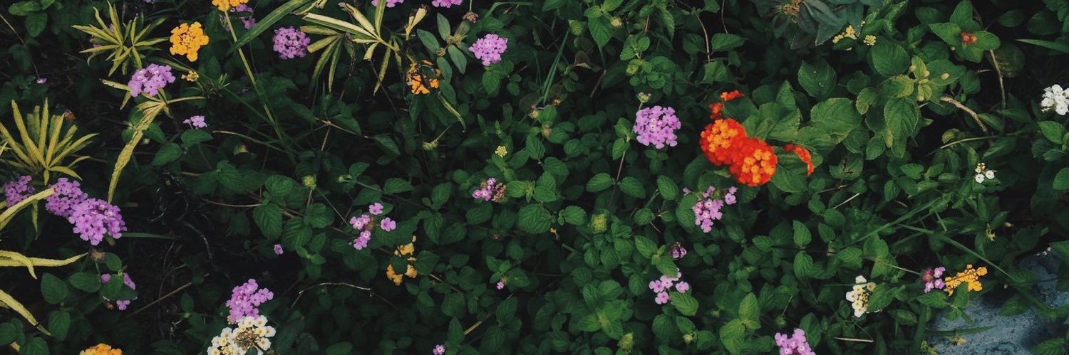 gtftr__'s profile banner image