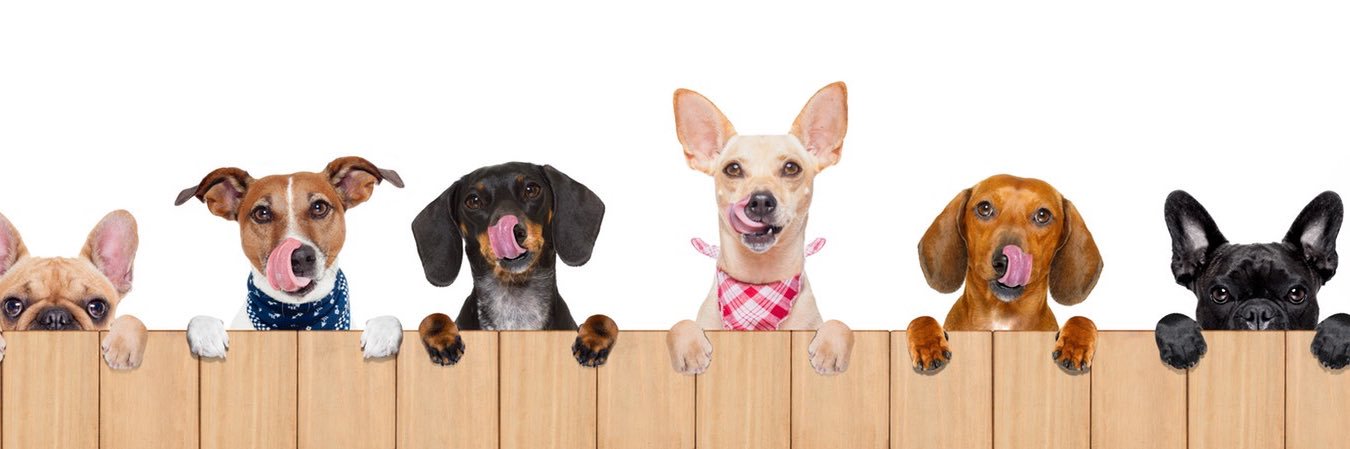 𝒞𝒽𝒾𝒸𝓀 𝐹𝓇𝑜𝓂 𝒪𝓃𝓉𝒶𝓇𝒾𝑜 banner