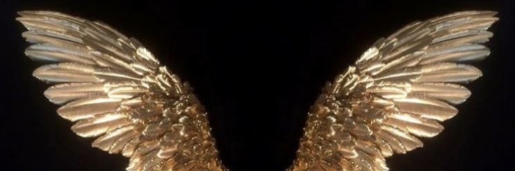 🧚🏾‍♀️'s banner