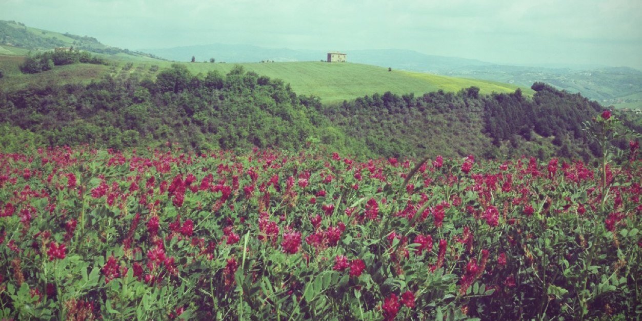 comunebonito's profile banner image
