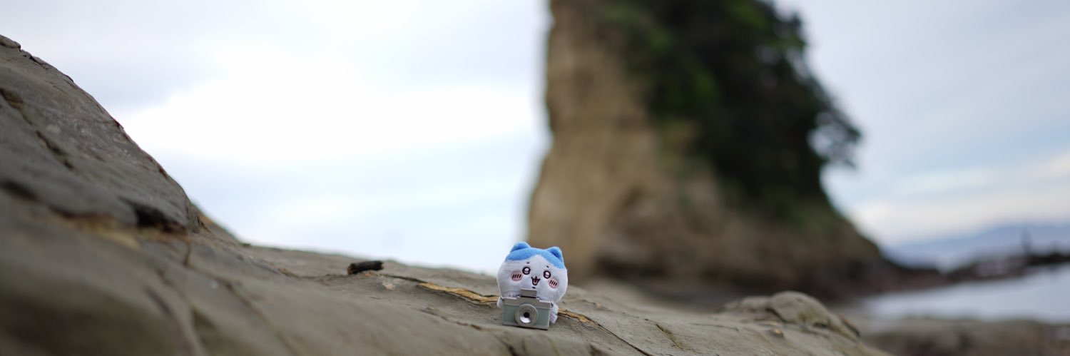 __Neko4__'s profile banner image