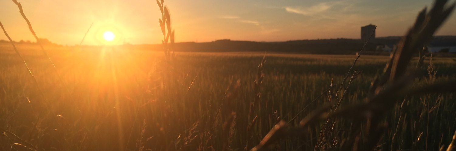 danielfinnerty's profile banner image