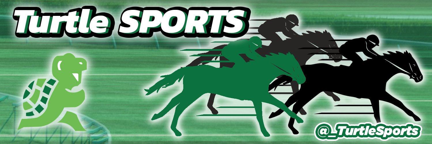 Turtle Sports's banner