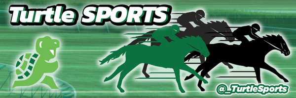 _TurtleSports Profile Banner