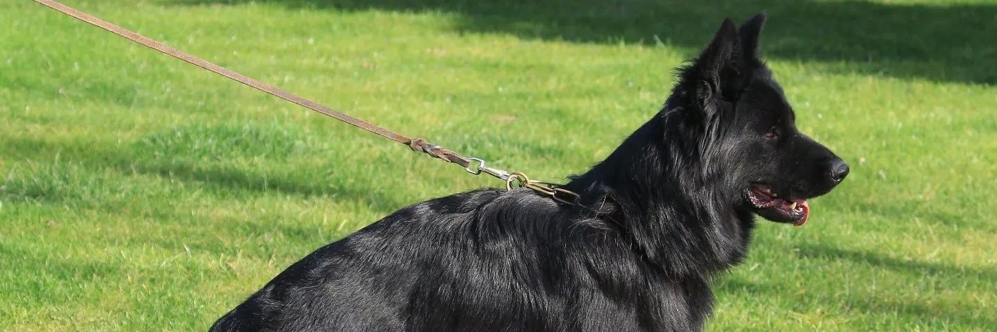 RONALDJFV's profile banner image